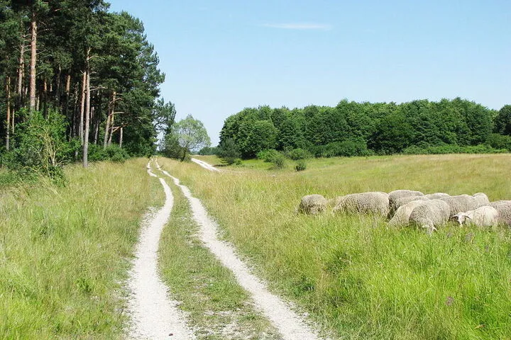 Mallertshofer Holz Heidepfad